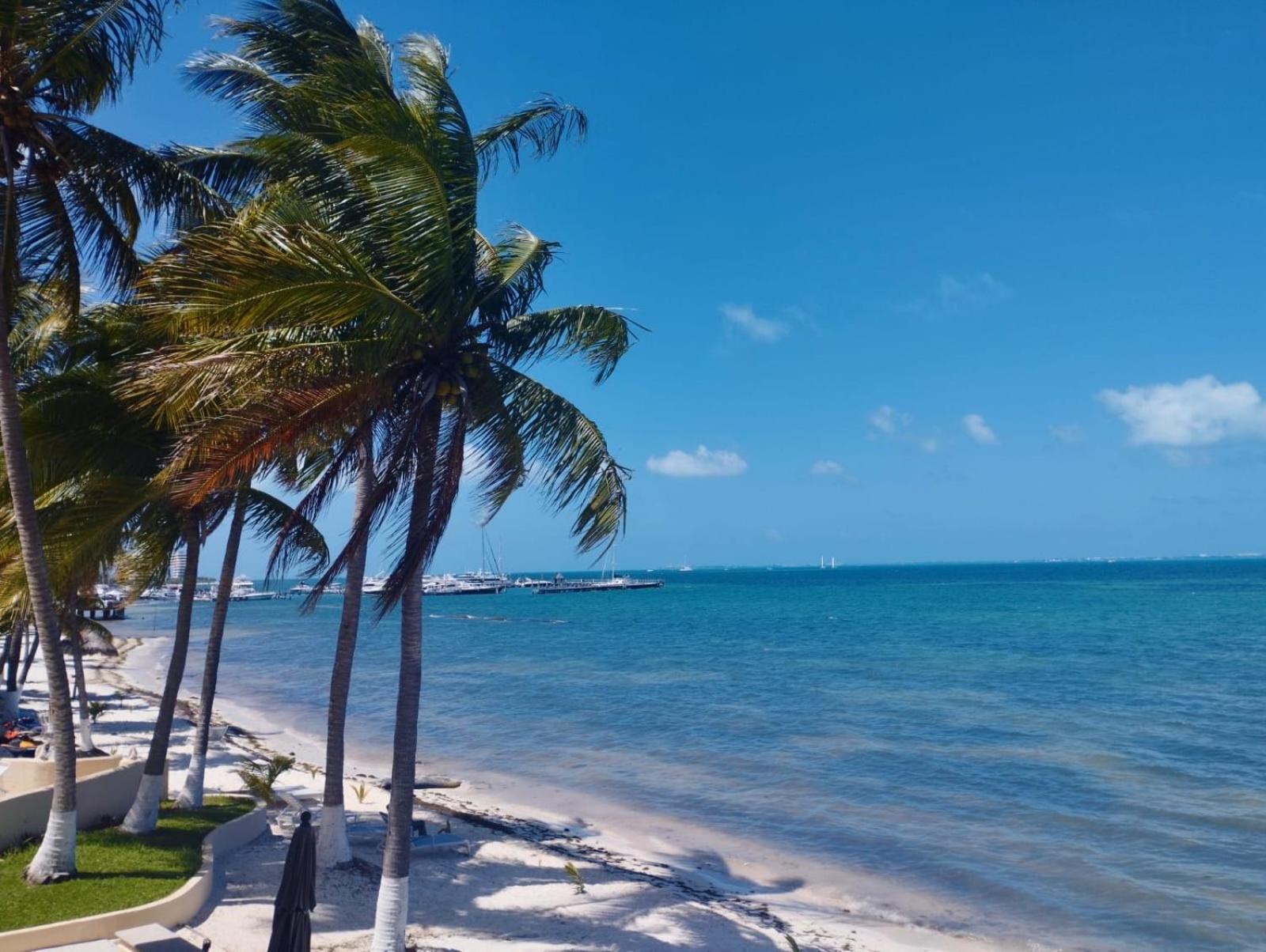 Cancun Ocean View Playa Del Nino Номер фото